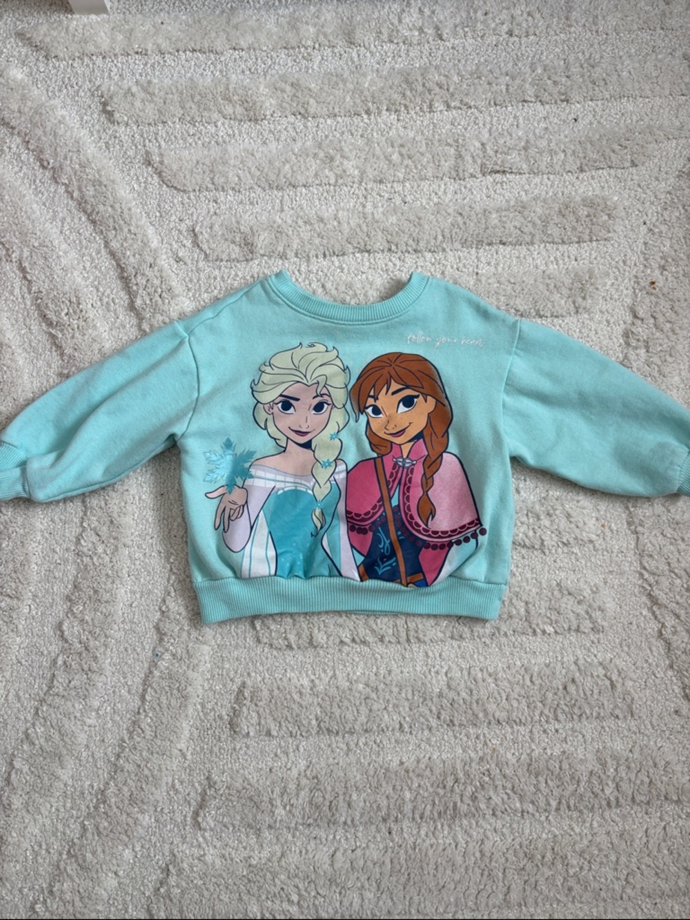 Disney Aqua Frozen Elsa & Anna Pullover Sweatshirt